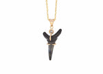 Load image into Gallery viewer, Preloved 14k Gold Fossilized Shark Tooth Necklace
