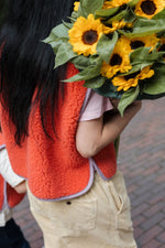 Load image into Gallery viewer, Preorder NEW Women’s Camino Wool gilet (coral w lavender trim)
