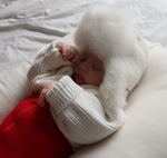 Load image into Gallery viewer, Alpaca bonnet

